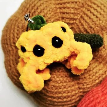 Spinnen Pompoen Sleutelhanger Haken Patroon (2)